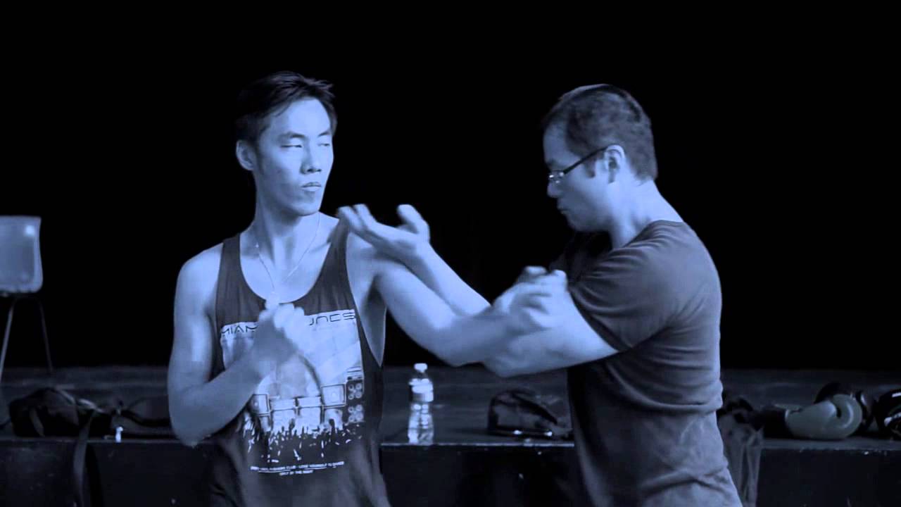 Wing Chun Cross Hands HD - VIKOGA