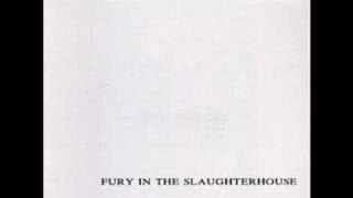 Watch Fury In The Slaughterhouse Fools video