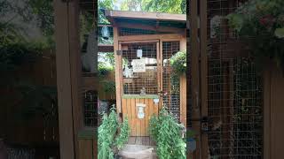 This Is Truly One Of A Kind Catio