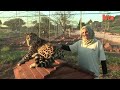 Cute Dog and Jaguar Are Best Friends