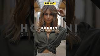 Just Released A New Remix For @Dualipa - Houdini. Enjoy It On My Youtube Channel 🔥