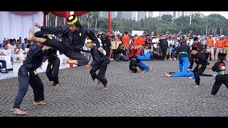 Atraksi Silat Betawi Beksi & Cingkrik di Monumen Nasional (Festival Jakarta Sehat)