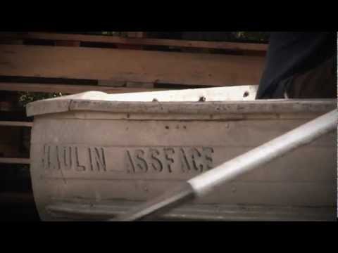 Creature Cove with Pirate Davey