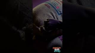 Watch Full Video Veppam Kulir Mazhai Movie Scenes -