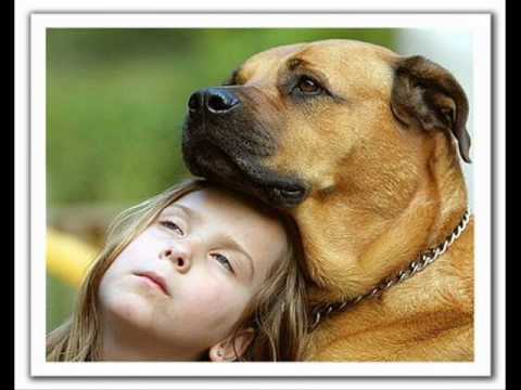 aankho me tera hi chehra. ARYA RAJ.wmv