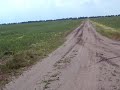 seelow