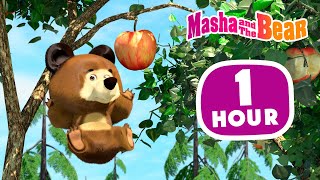 Masha And The Bear 2024 📚🐯 Animal Stories 🐾🐻 1 Hour ⏰ Сartoon Collection 🎬