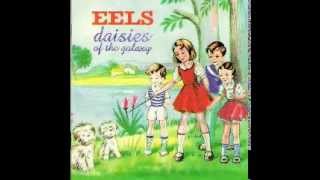 Watch Eels Mr Es Beautiful Blues video