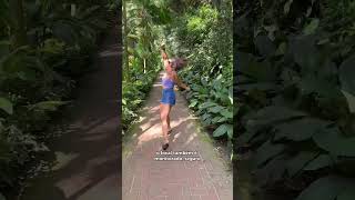 Praia Das Conchas - Iporanga - Gurauja Música Niwel - Virtual Trip