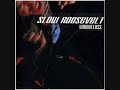 Slow Roosevelt-Audio Star Satellite