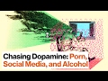 How We Chase Dopamine: Porn, Social Media, and Alcohol | Steven Kotler