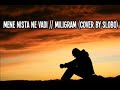 Mene nista ne vadi Miligram (cover by Slobo)