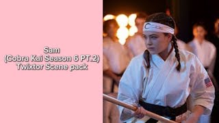 Samcobra Kai Season 6 Part 2 Twixtor Scene Pack