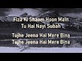 Bhula Dena |  Aashiqui 2 | Mustafa Zahid |Lyrics