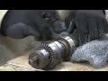 Ben Heck's Drill Press Restoration