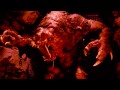 Top: los 5 monstruos más horribles del cine según dross