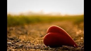 Watch Hearted The Truth video