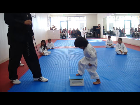 Little Boy's First Taekwondo Board Break Test