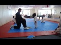 Little Boy's First Taekwondo Board Break Test