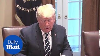 Trump 'accepts' US intelligence that Russia meddled in election - Daily Mail