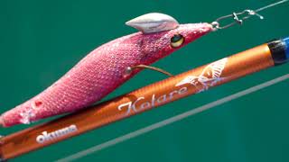 Squid fishing in the daytime