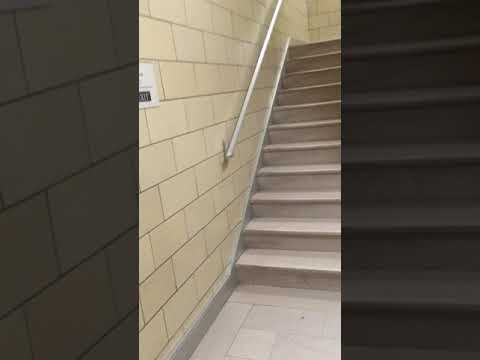 Carnegie Mellon Chemistry, Mellon Institute Virtual Tour! (Unofficial)