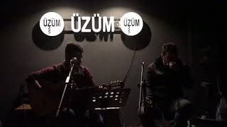 Bahçede Yeşil Çınar Vakkas Göçmen