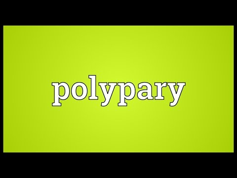 Header of polypary