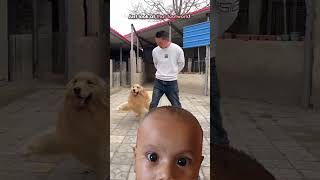 Greenscreen With Baby & Cat