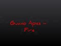 Fire Video preview
