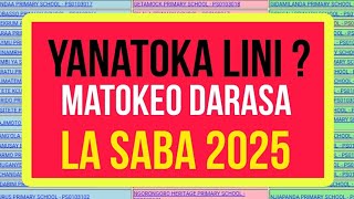 Matokeo Ya Darasa La Saba 2025 Yanatoka Lini? Tazama Njia Ya Kuangalia Fasta
