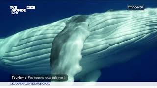 Le Journal International - Lactualité Internationale Du Vendredi 20 Septembre 2024 - Tv5Monde
