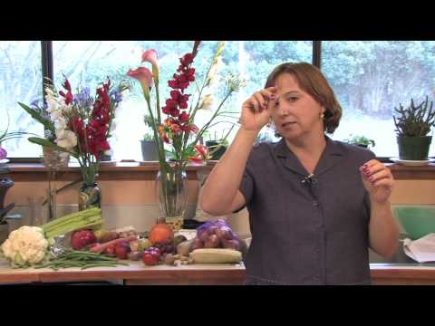 Gardening Tips : How to Harvest Sunflowers