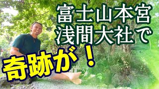 神様の化身出現?グーダドラム の奇跡