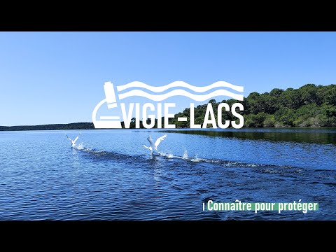 Vigie-Lacs : connaître pour protéger