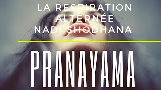 Nadi Shodhana Pranayama | La Technique de la Respiration alternée en Yoga