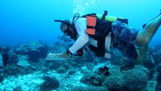 Pristine Seas Expeditions | Outer Seychelles Islands