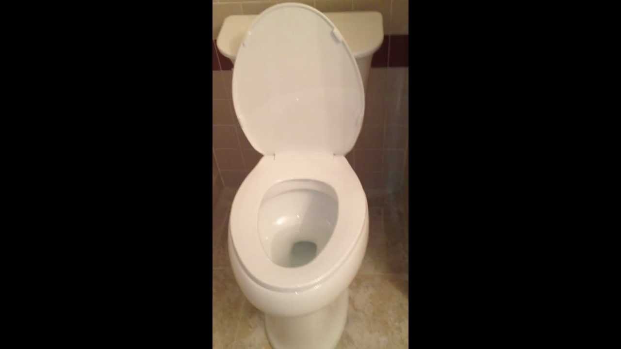 Kohlers Sterling Stinson Toilet Problem - YouTube