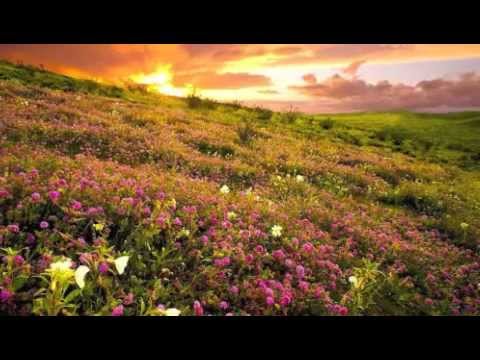 Aao Naa - sung by Rasha