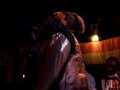 Video Capleton @ The Hopmonk Tavern, Sebastopol 11-29-10 Performing "Raggy Road"