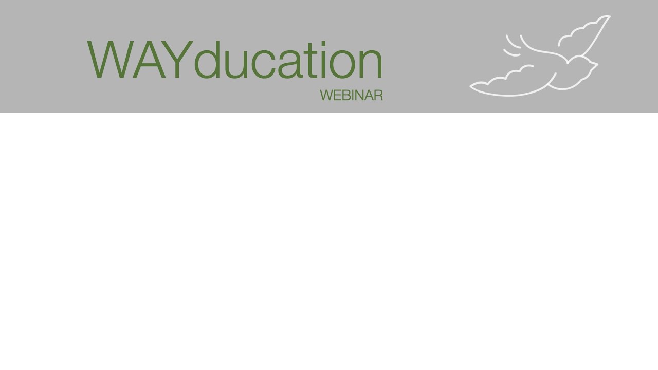 WAYducation WEBinare