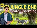 Jungle Drum and Bass | Lizard Charming | Mixed by Guni