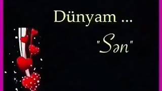 Sevgiye Aid Vidyolar