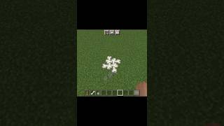 Minecraft Viral Hackminecraft Viral Tik Tok Hack
