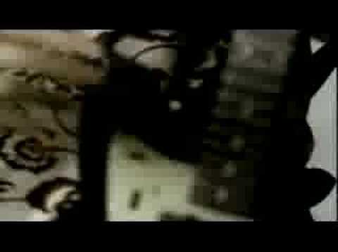 Swallowed Video