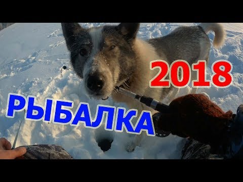 Рыбалка в белгородской области 2018 форум рыбаков Рыбалка в белгородской области 2018 форум рыбаков