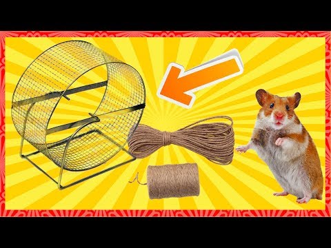 Как сделать колесо хомяк Как сделать колесо хомяк