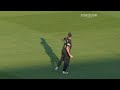Cricket ball kills a pigeon!
