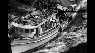 My Recollections Of The Mariel Boatlift Of 1980