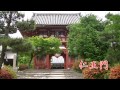 京都最古の多宝塔